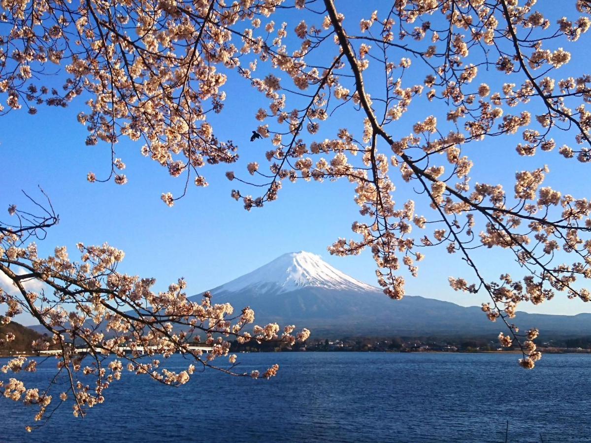 Lake Villa Kawaguchiko Фуджикавагучико Екстериор снимка